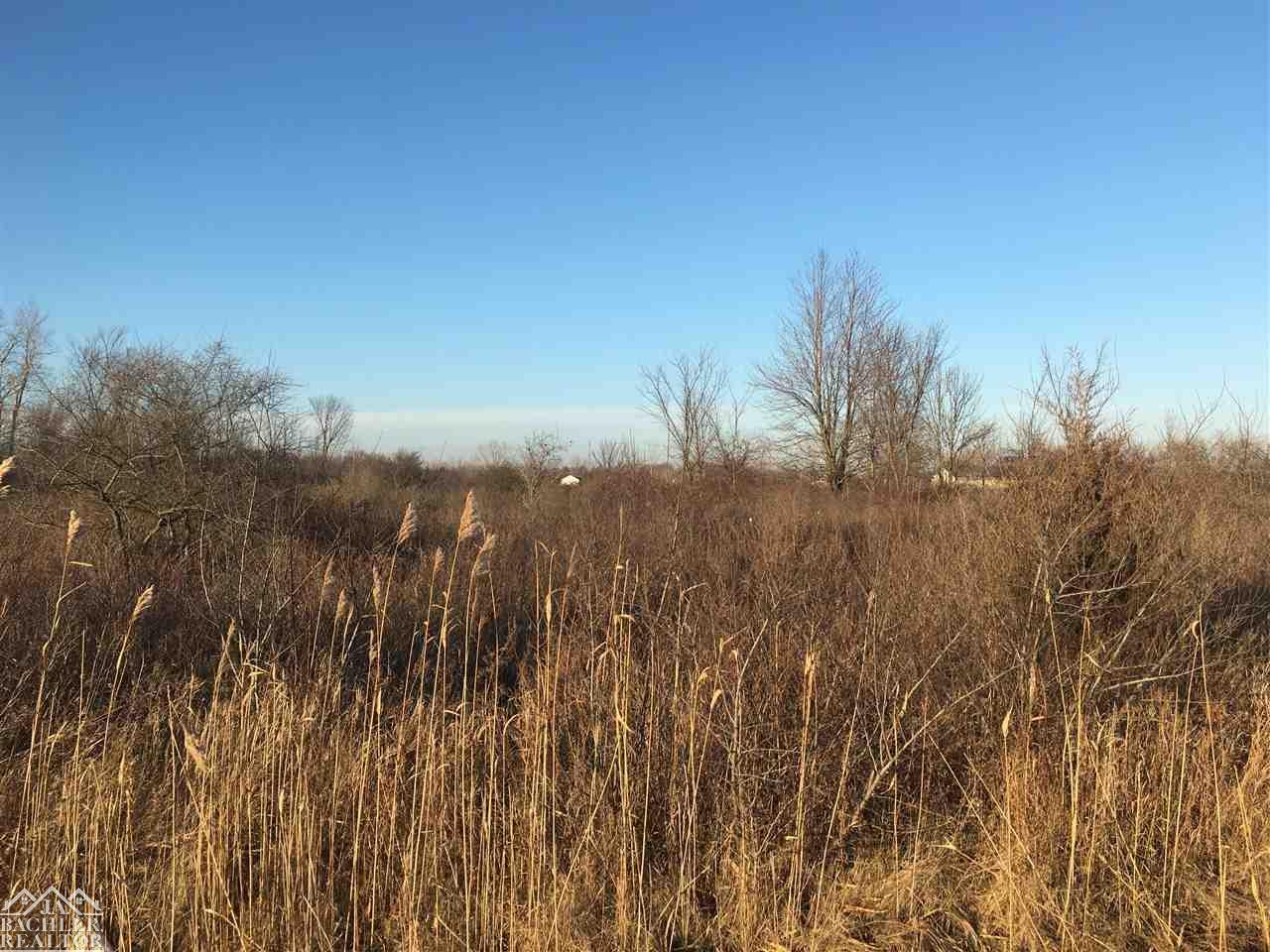 Vacant Marsh Rd - Photo 1