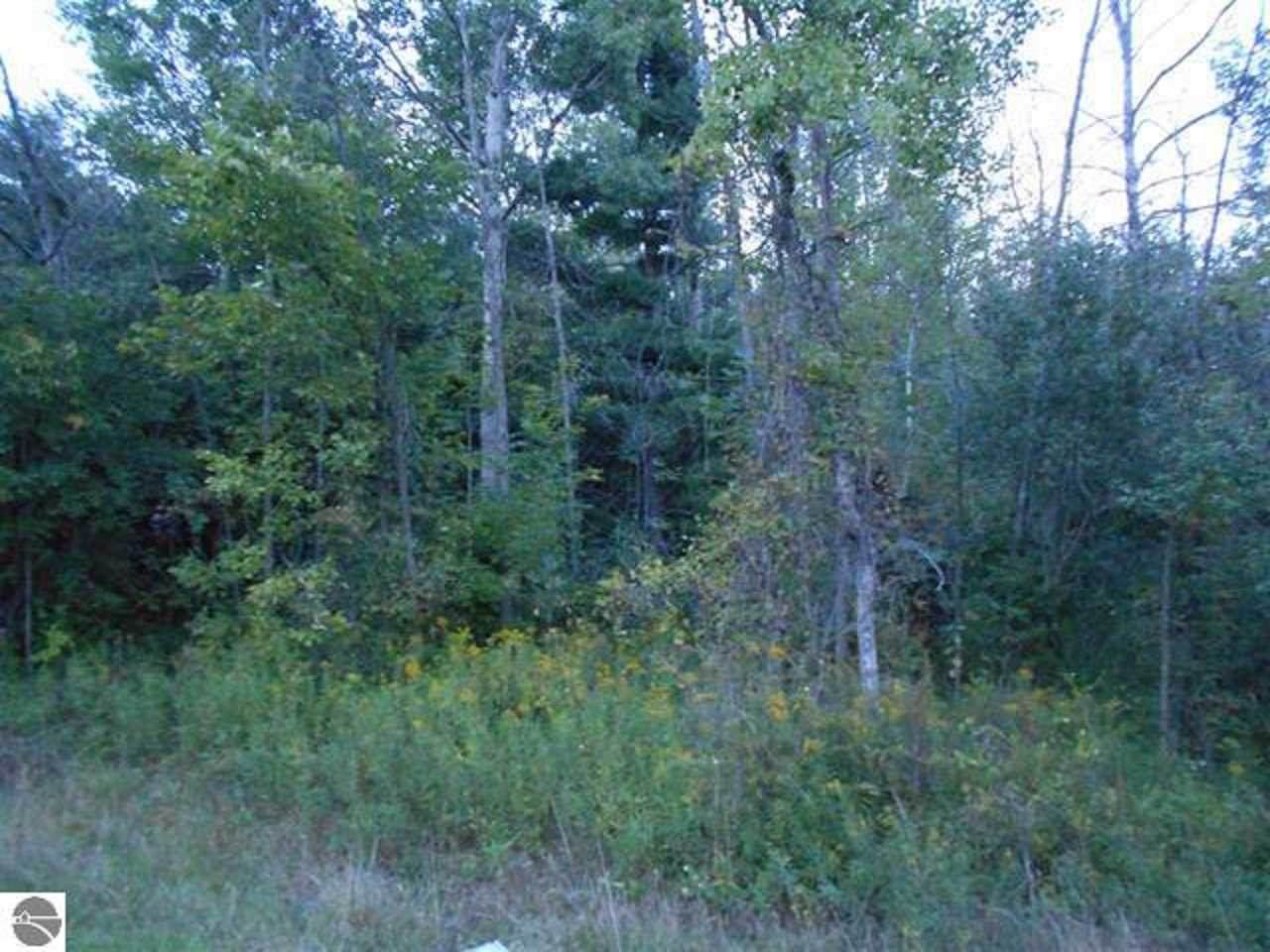 0 Huron Rd - Photo 1