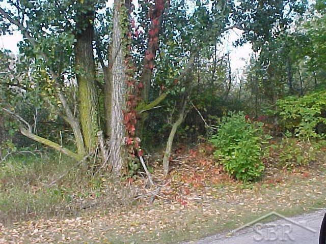 9000 Webster Parcel 1 - Photo 1