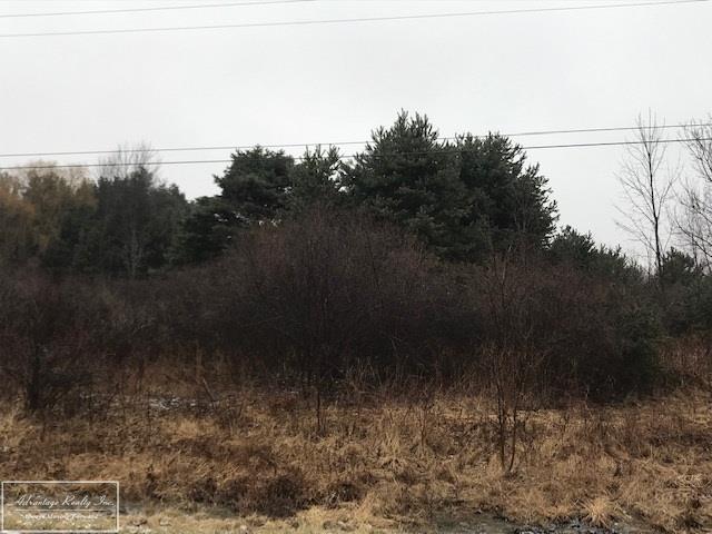 0 St Clair Hwy - Photo 1
