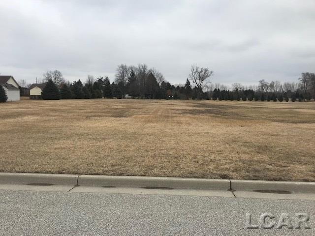 Silver Creek Dr Lot 9 - Photo 1