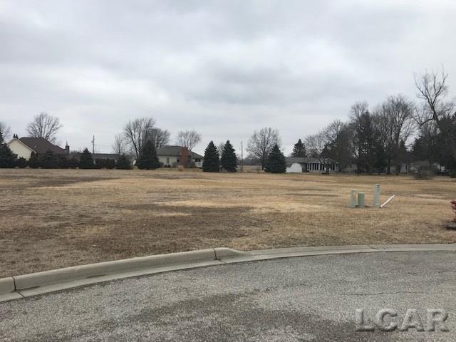 Whitehouse Ct Lot 10 - Photo 1