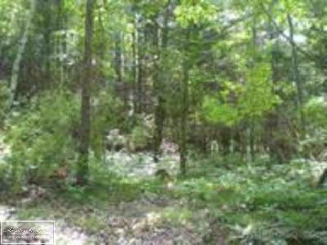 0 17 Mile Rd. - Photo 1