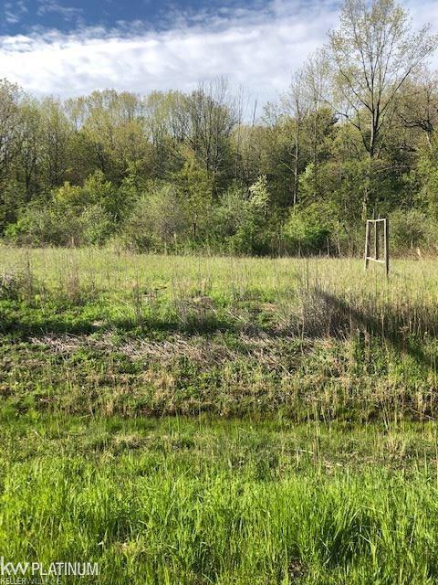 0 Lapeer Parcel B - Photo 1