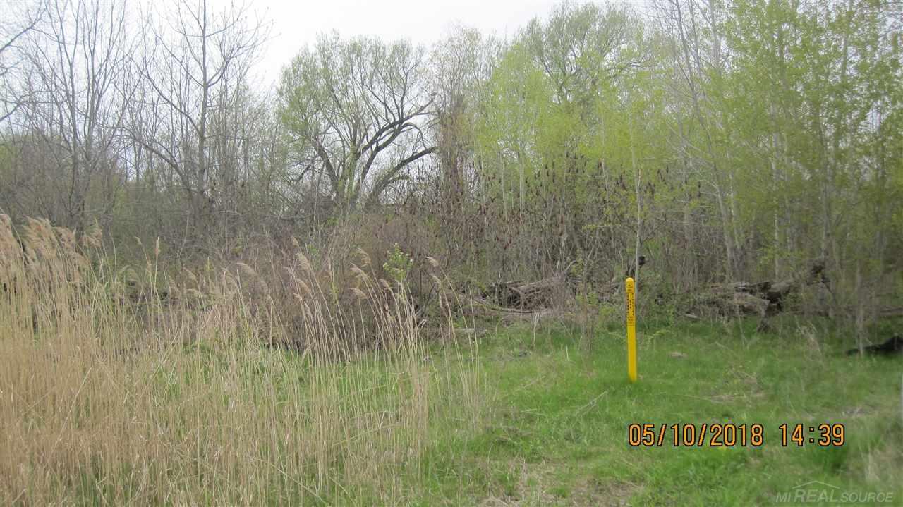 0 Michigan - Photo 1