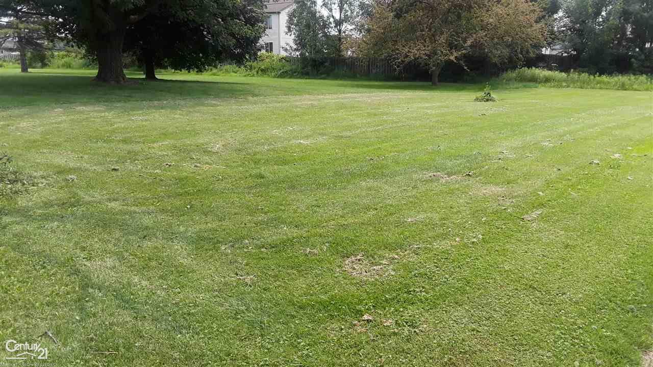 26310 21 Mile - Photo 1