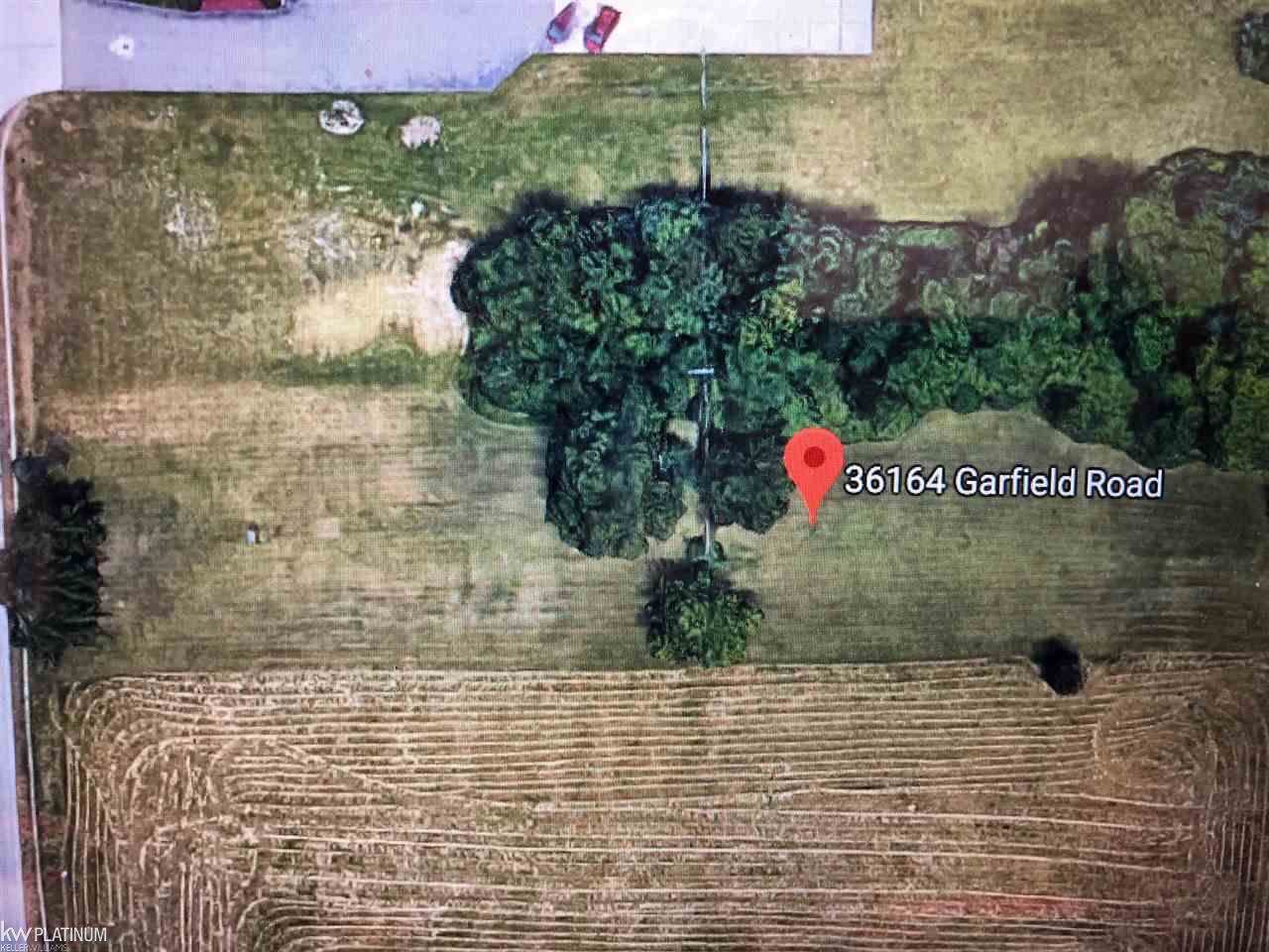 36164 Garfield - Photo 1