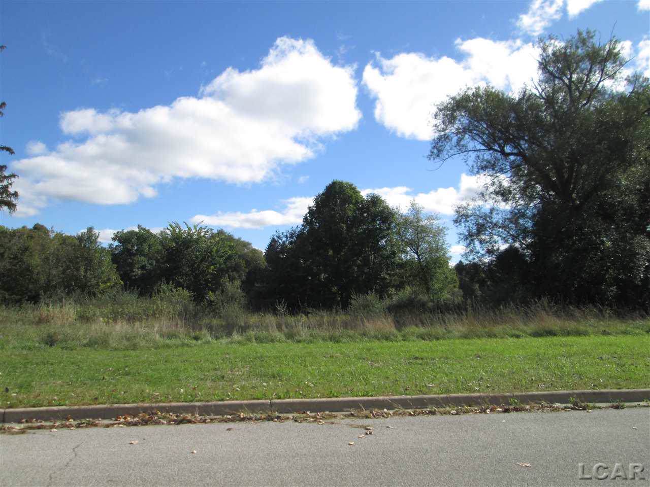 1006 Sawmill - Photo 1