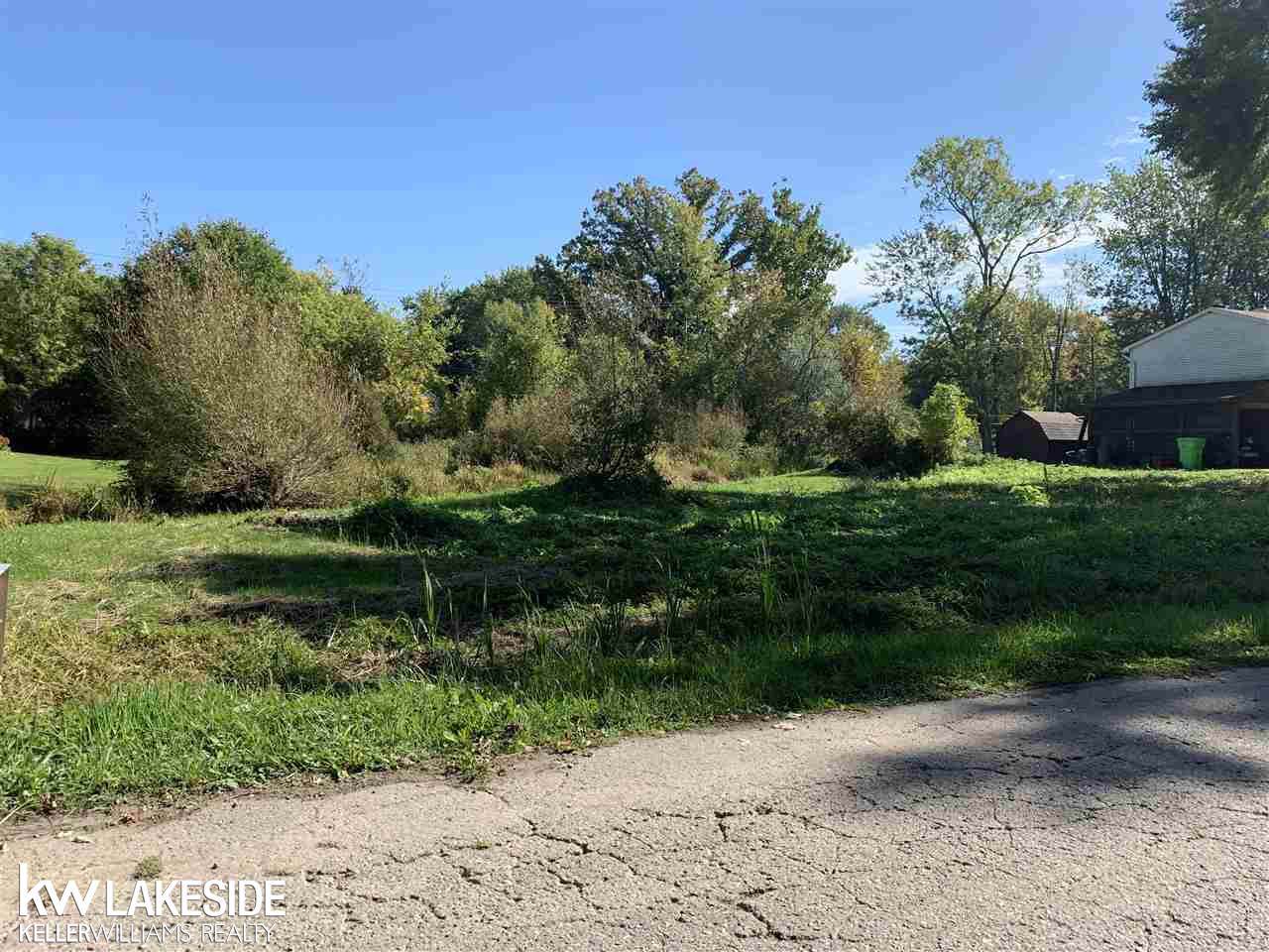 0 Elmite - Photo 1