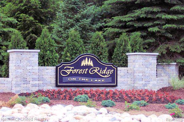 Lot 12 Oak Shore - Photo 1