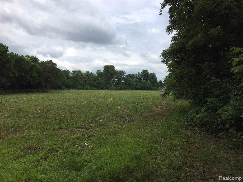 Parcel B 36 MILE RD - Photo 1