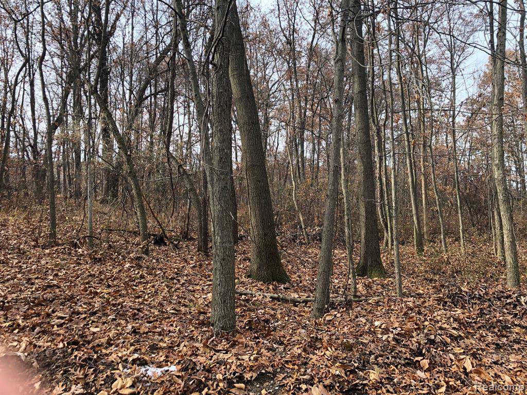 D-4 Bauer Rd. - Photo 1