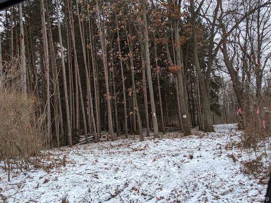VL Fenton Rd - Photo 1