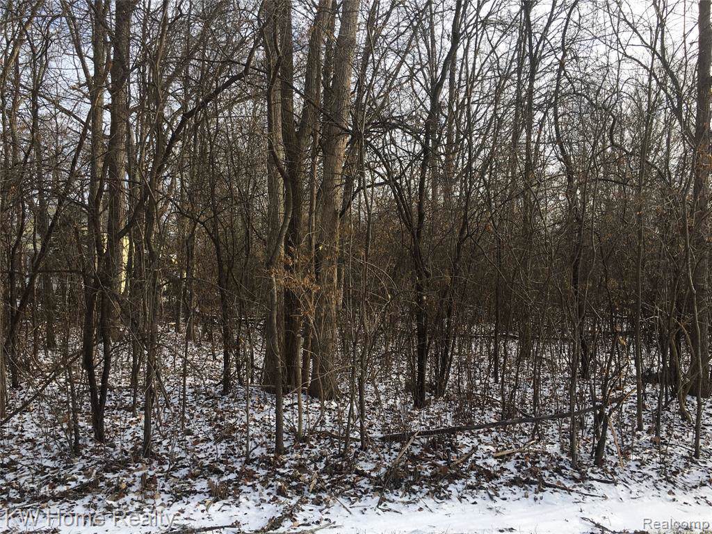 0000 Parkhill Blvd - Photo 1