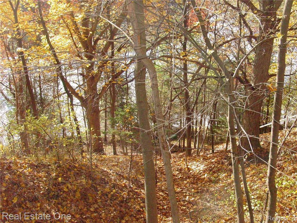 L5 Addaleen Dr - Photo 1