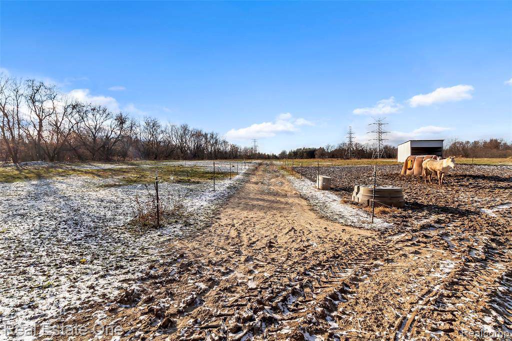 4975 Webster Church Rd - Photo 1