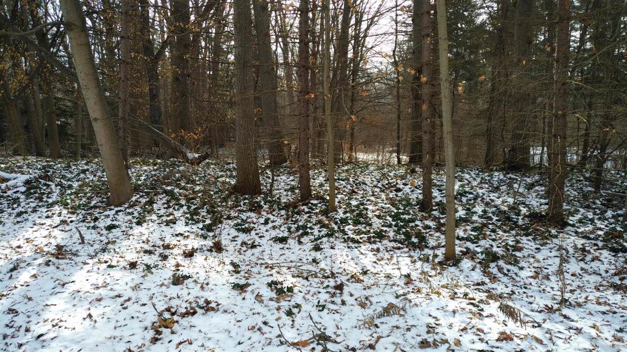 12042 Rusty Ln - Photo 1