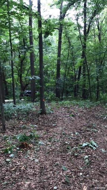8282 Donovan Rd - Photo 1