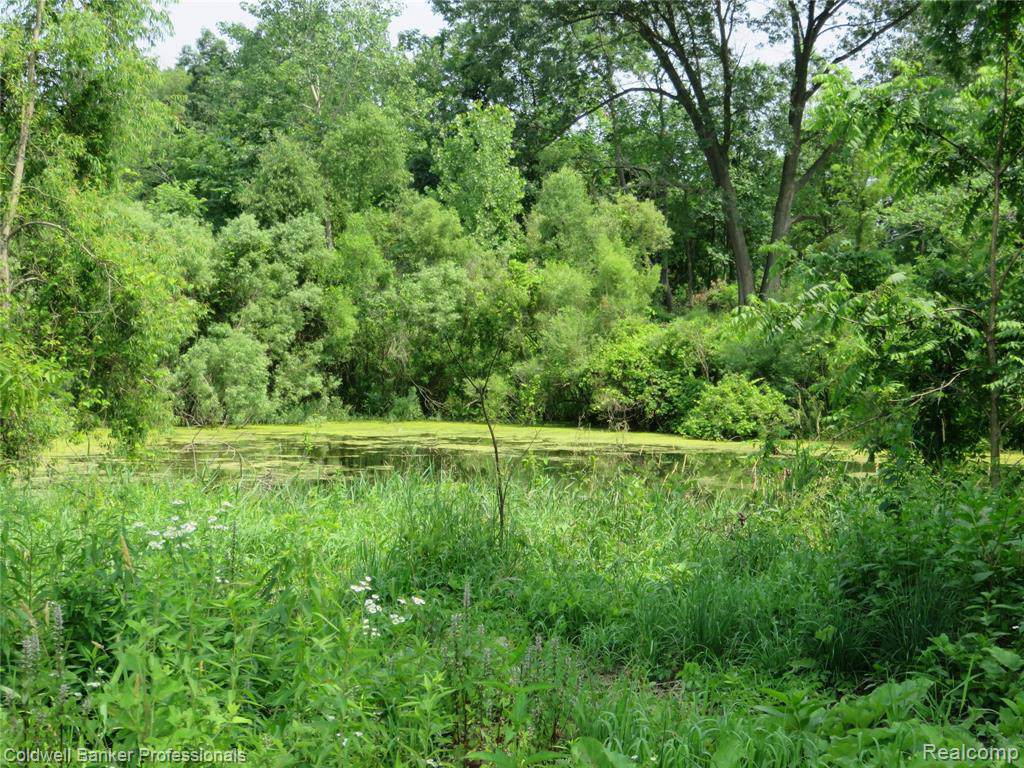00 Britton Rd - Photo 1