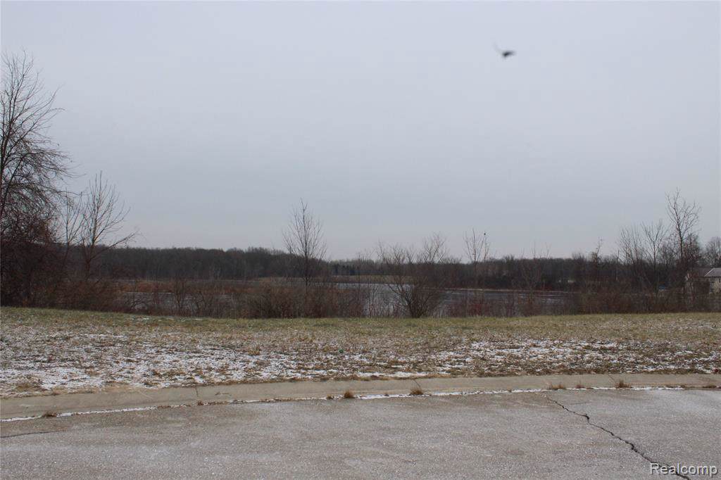 10451 Grandview Dr - Photo 1