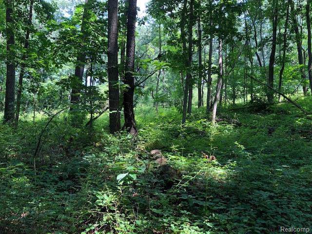 20692 Hidden Lake Dr - Photo 1