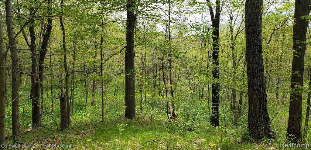Lots B & D 7595 RINGNECK WAY - Photo 1