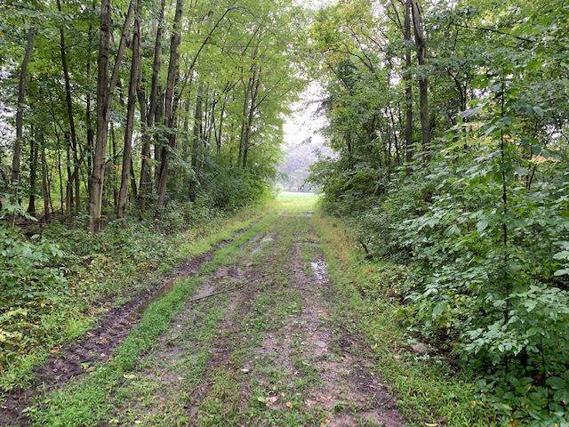 V/L Dearing Rd - Photo 1