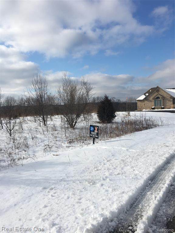 7807 Old Forest Dr - Photo 1