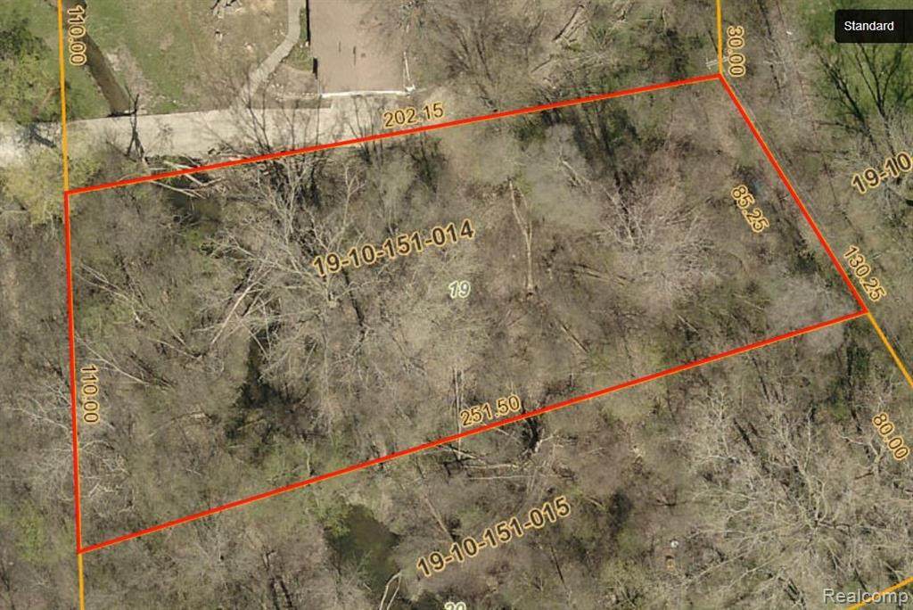 Lot 19 Lahser Rd - Photo 1