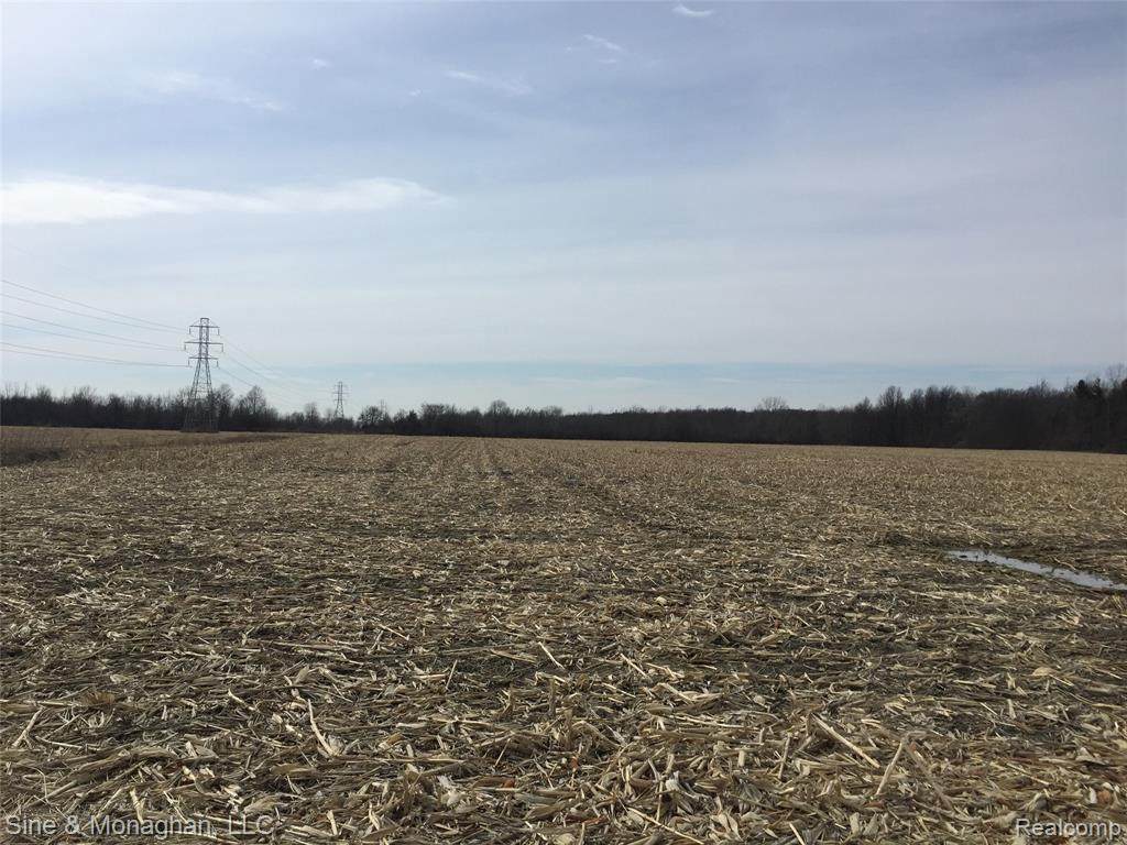V/L (Parcel B) Indian Trail Rd - Photo 1