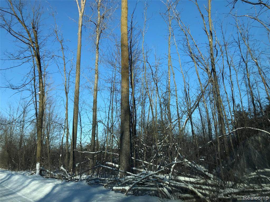 Lots 25 & 26 Concord - Photo 1