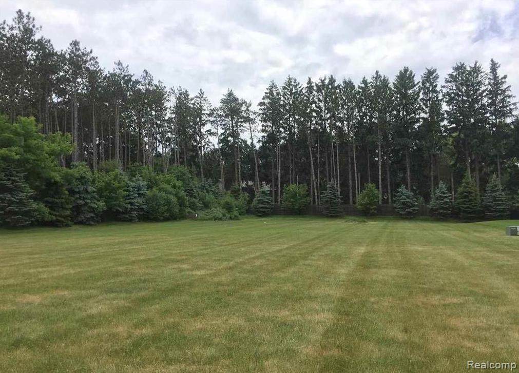 55731 Jewell Rd - Photo 1