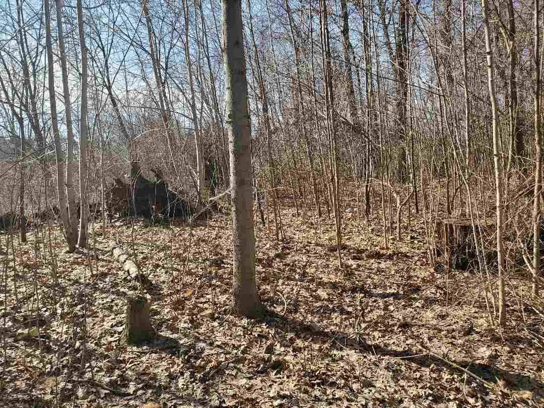 11089 Vicary Rd - Photo 1
