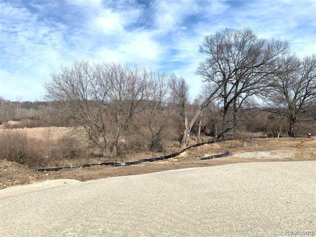 000 Chestnut Springs Dr Lot# 14 - Photo 1