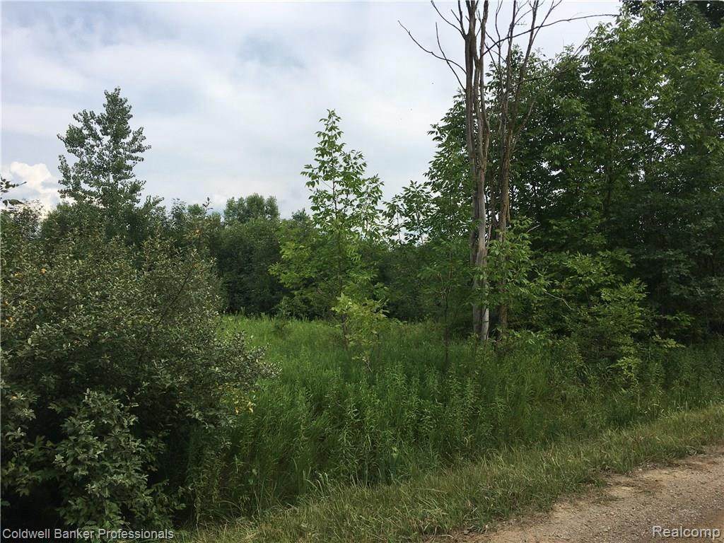 13244 Henderson Rd - Photo 1