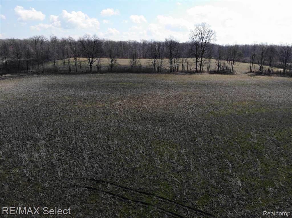 0 Elba Rd - Photo 1