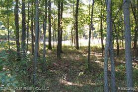 9749 Lost Channel Dr - Photo 1