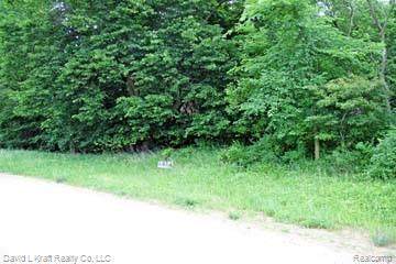 3520 Stagecoach Trail Lot 1 - Photo 1