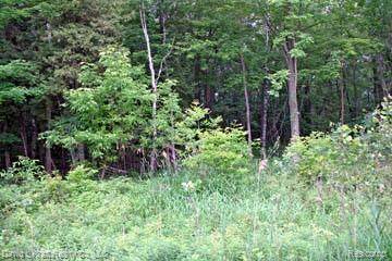 LOT 9 Stagecoach Trail - Photo 1
