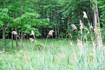 LOT 13 Stagecoach Trail - Photo 1