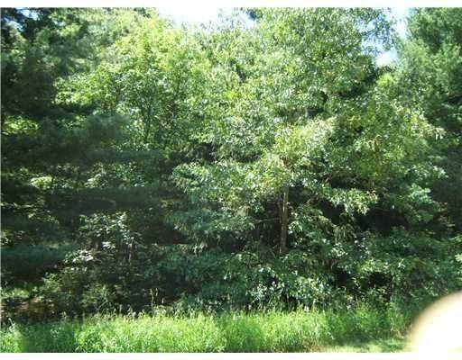 0 Wald Strasse - Photo 1