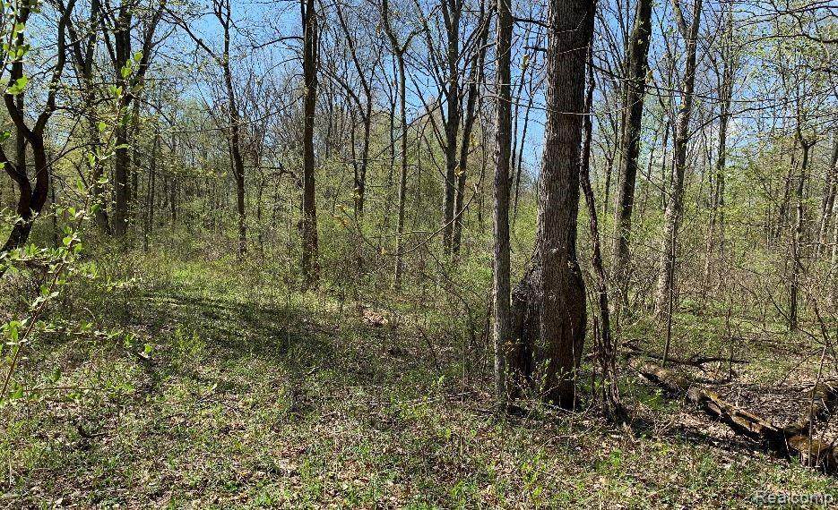 0000G Haggerty Rd - Photo 1