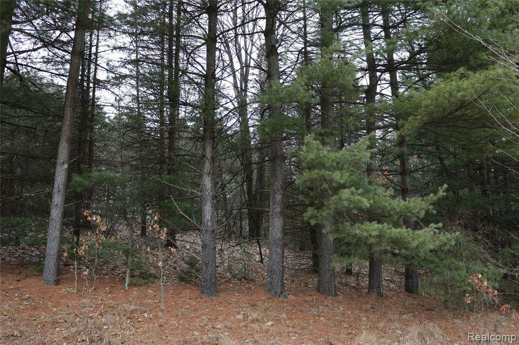 V/L Spruce Hill Lane - Photo 1