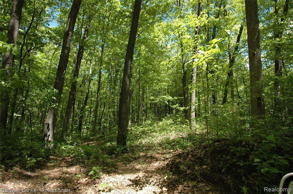 V/L Rattalee Lake Rd - Photo 1