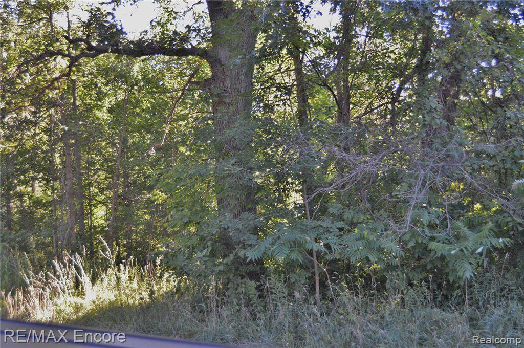 VL Sashabaw Rd - Photo 1