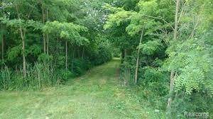 15127 Hogan Rd - Photo 1