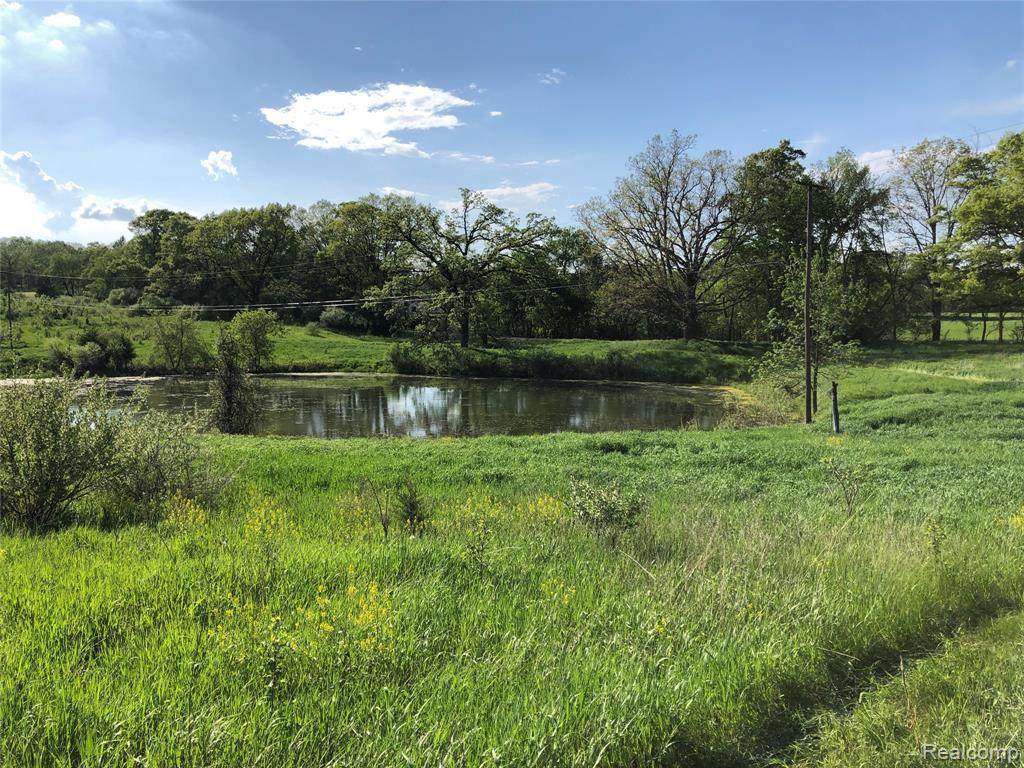 3.85 AC Morrow Ln - Photo 1