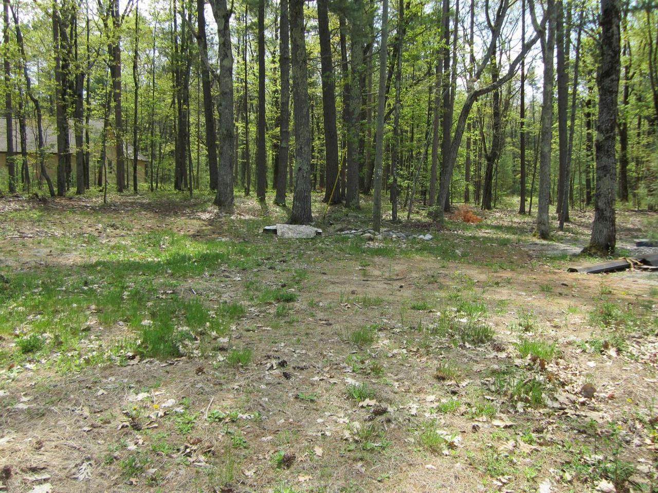 7043 Frontenac - Photo 1