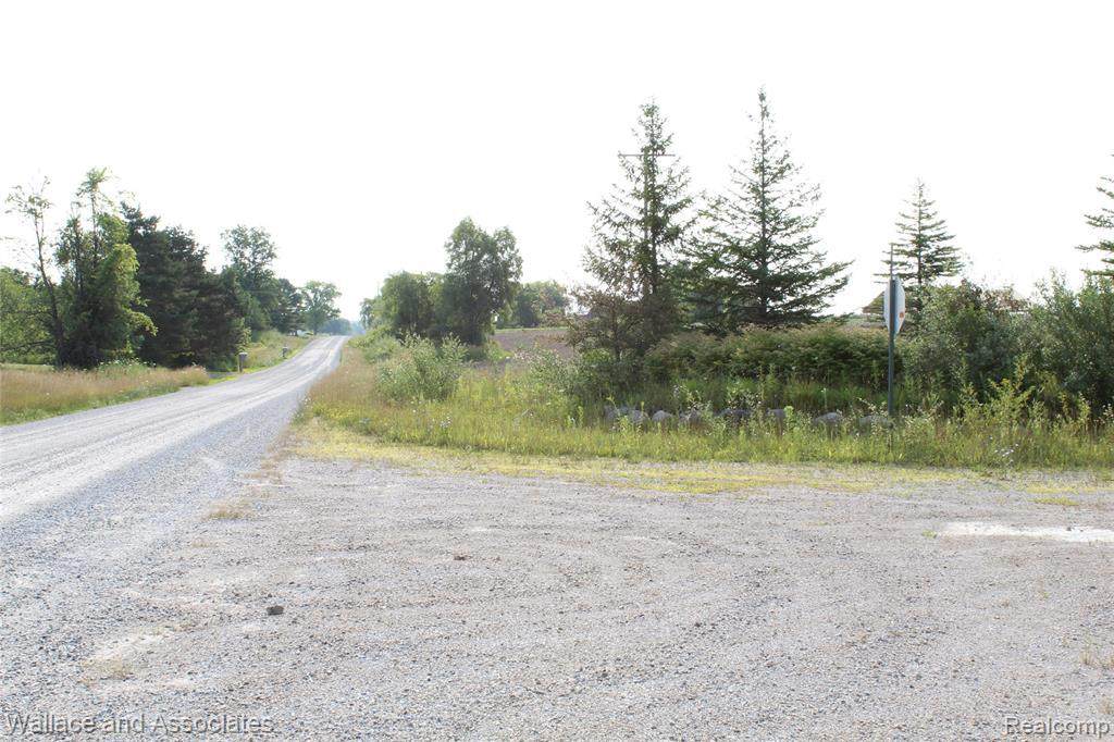 V/L Mcintyre Rd - Photo 1