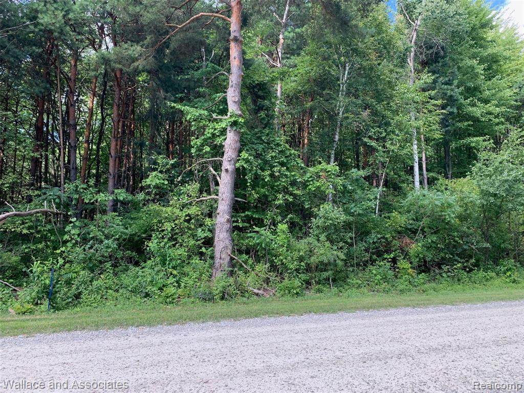 V/L Cribbons Rd. Rd - Photo 1